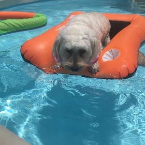 Meet your Posher, Tammy